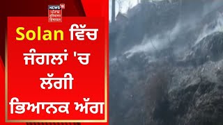 Himachal News : Solan ਵਿੱਚ ਜੰਗਲਾਂ 'ਚ ਲੱਗੀ ਭਿਆਨਕ ਅੱਗ | News18 Punjab