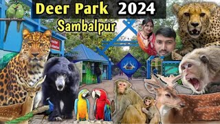 Sambalpur deer park // deer park Sambalpur // Sambalpur zoo // sambalpuri vlog // Bimal rb vlog 🙏🐯🐻