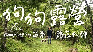 【Nemo去哪玩EP3】狗狗苗栗露營去！蘿菈松靜營區2天1夜📷極短VLOG