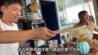 寻茶冰岛行-冰岛南迫看茶农子辈如何营销自家茶叶