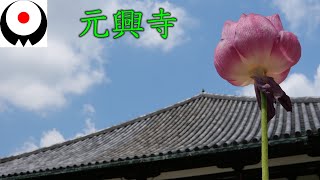 Gango-ji Temple, the oldest authentic Buddhist temple in Japan, world heritage