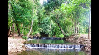 The best hot springs in Pai | Sai Ngam | #pai