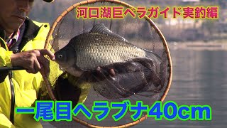 棚網久 河口湖巨ベラガイド実釣編　Giant Japanese crucian carp fishing guide in Lake Kawaguchi 〜How to fish〜 ヘラブナ40cm