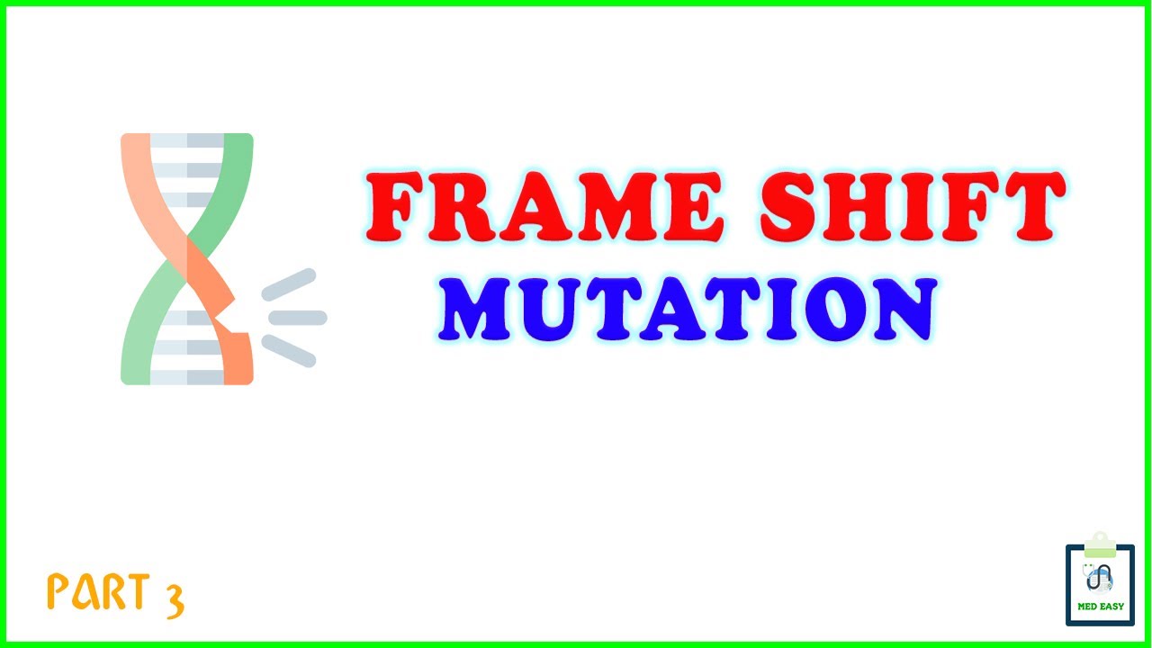 Frameshift Mutation Part 3 Youtube