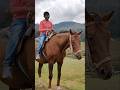 Giddy Up! Horseback Riding at Mannavanur Sheep & Goat Farm