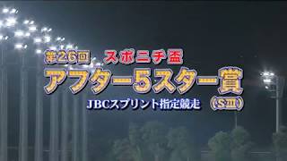 【大井競馬】アフター５スター賞　キタサンミカヅキ３連覇なるか