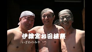 伊雑宮お田植祭り