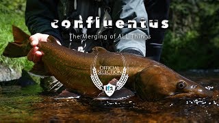 Confluentus Teaser - IF4 2018 Official Selection