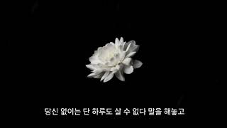 피멍 (아직 완성되지 않아 부족한 곡이지만, 제주항공 희생자들과 유가족들의 가슴에 맺힌 아픔을 위로하기 위해서 바칩니다.)