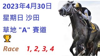 🏆「賽馬貼士」🐴2023年 4 月 30 日💰 星期日  😁 沙田 香港賽馬貼士💪 HONG KONG HORSE RACING TIPS🏆 RACE  1  2  3  4   😁