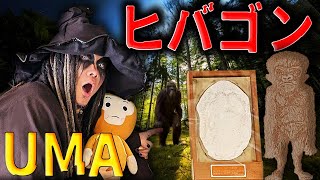 日本のUMA【ヒバゴンに迫る！の巻】