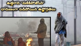 Weather Forecast : Cold Wave To Continue Over North India | Oneindia Telugu