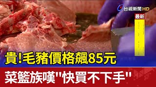 貴!毛豬價格飆85元 菜籃族嘆\