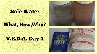 Keto Day 247 | Sole Water | What, How, Why | V.E.D.A. Day 3