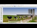 dairycomp tutorial how to email reports