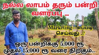 நல்ல லாபம் தரும் பன்றி வளர்ப்பு | Marketing - எப்படி செய்வது ..? | Pig Farm .