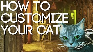 How To Customize Your Cat In Stray