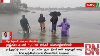 #BREAKINGNESWS || மூழ்கிய சுமார் 1,000 ஏக்கர் விளைநிலங்கள் | Heavyrain | Rain Update | Agriculture