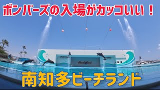 【イルカ】夏だ！ボンバーズだ！びしょ濡れだ！#南知多ビーチランド