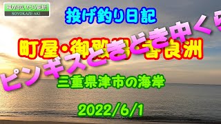 ピンギスときどき中ぐらい　三重県津市でキスの投げ釣り　2022/6/1