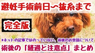 第71わん「避妊手術前日から抜糸までの流れ、お腹を切る手術の参考に」