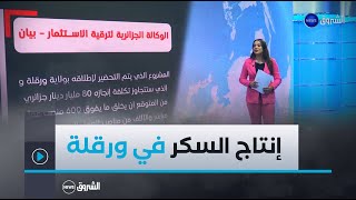 الوكالة الجزائرية لترقية الإستثمار تعلن عن الشروع في التحضير لاطلاق مشروع هام لإنتاج السكر بورقلة