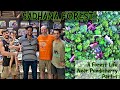 Sadhana Forest | A Forest Life Near Pondicherry | Part-1 | PoGum PaaDhai |