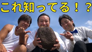 これ、なんだか分かりますか！？答えは動画の中で・・・