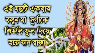 মা দুর্গা কে শিউলি ফুল দিয়ে এই মন্ত্রটি একবার উচ্চারণ করুন আর হয়ে যান মালামাল