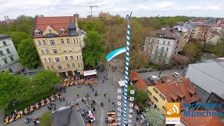 Maibaum aufstellen am Wiener Platz 2023