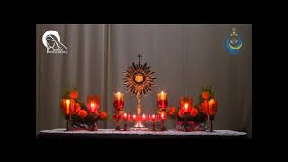 ഏഴ് മിനിറ്റ് ആരാധന | DAY 22 ക്രൂശിതന്റെ കൂടെ | Eucharistic Adoration | SMYM KARUNAPURAM | 08.03.2021