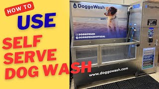 How To Use A Self Serve Dog Wash Station