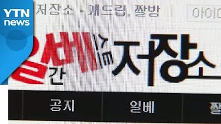 '일베' 커뮤니티에 아동 성 착취물...경찰, 유포자 추적 / YTN