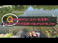 【王禅寺＃4】本当に魚？有識者のコメントお待ちしております