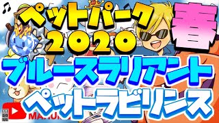 【チョコットランド】ペットパーク2020ブルースラリアント（新ハコスラ）出現方法とペットラビリンスあれこれ