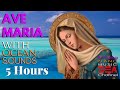 Ave Maria Bach Gounod | Relaxing Classic Piano Music | 1 HOUR | Ave Maria Instrumental Piano Cello