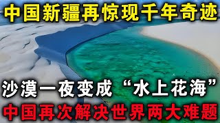 新疆惊现千年奇迹，沙漠一夜变成“水上花海'，中国再次解决世界两大难题