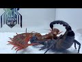 scorpion vs red dragon centipede,giant centipede challenges giant scorpion 雨林蝎vs红龙蜈蚣