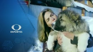 El perro ruso, el perro caucásico | Montserrat en Rusia | La Jugada del Mundial