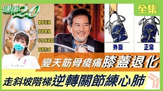 秦漢膝蓋磨損 這些習慣關節再用10年！ 一變天筋骨痠痛 補對營養保骨本！穿錯鞋讓膝蓋退化 專家挑鞋減輕關節負擔！走斜坡上階梯逆轉關節練心肺！ 健康2.0 20221001 (完整版)