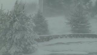 Blizzard Snowstorm with Howling Wind Sounds for Relaxing, Sleeping, Insomnia  Winter Storm Ambience