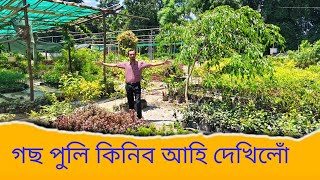 গছ পুলি কিনিবৰ বাবে নাৰ্ছাৰী আহিলোঁ।