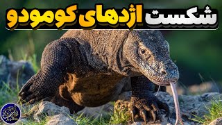 حیواناتی که میتوانند اژدهای کومودو را شکست بدهند!