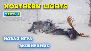 НОВОЕ ВЫЖИВАНИЕ НА СИБИРСКОМ МОРОЗЕ - Northern Lights