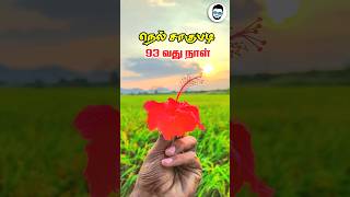 🌿🌾நெல் சாகுபடி (TCI - 1) - 93 ஆம் நாள் 💓🌿 #vivasayam #ilayaraja #ckrpandian #trending #pongal #trend