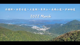 井欄樹 - 西貢古道 - 大藍湖 - 東洋山 - 飛鵝山道 - 沙田坳道