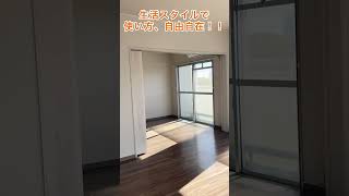 必見！通り抜けできるクローゼットがある賃貸！公社二ツ杁住宅【リノベーション住戸】　#shorts