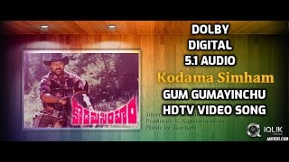 Kodama Simham Movie || Goom Goomainchu HDTV Video Song | DOLBY DIGITAL 5.1 AUDIO Chiranjeevi,  Radha