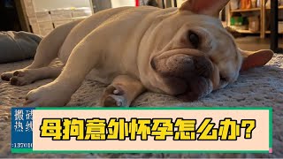 【意外怀孕】处理方法，避孕措施