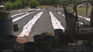 Black farmers fight to revitalize livelihood